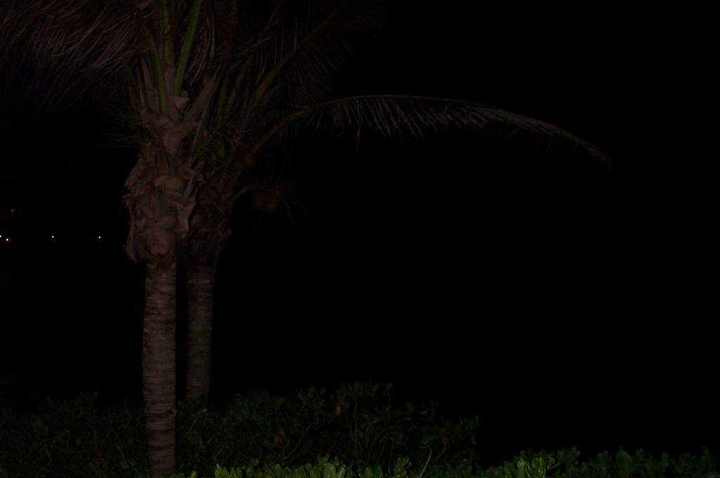 2003 Aruba